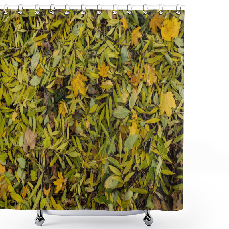 Personality  Fallen Leaves On Ground Shower Curtains