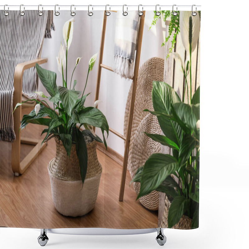 Personality  Beautiful Potted Plants In Stylish Room Interior. Design Elements Shower Curtains