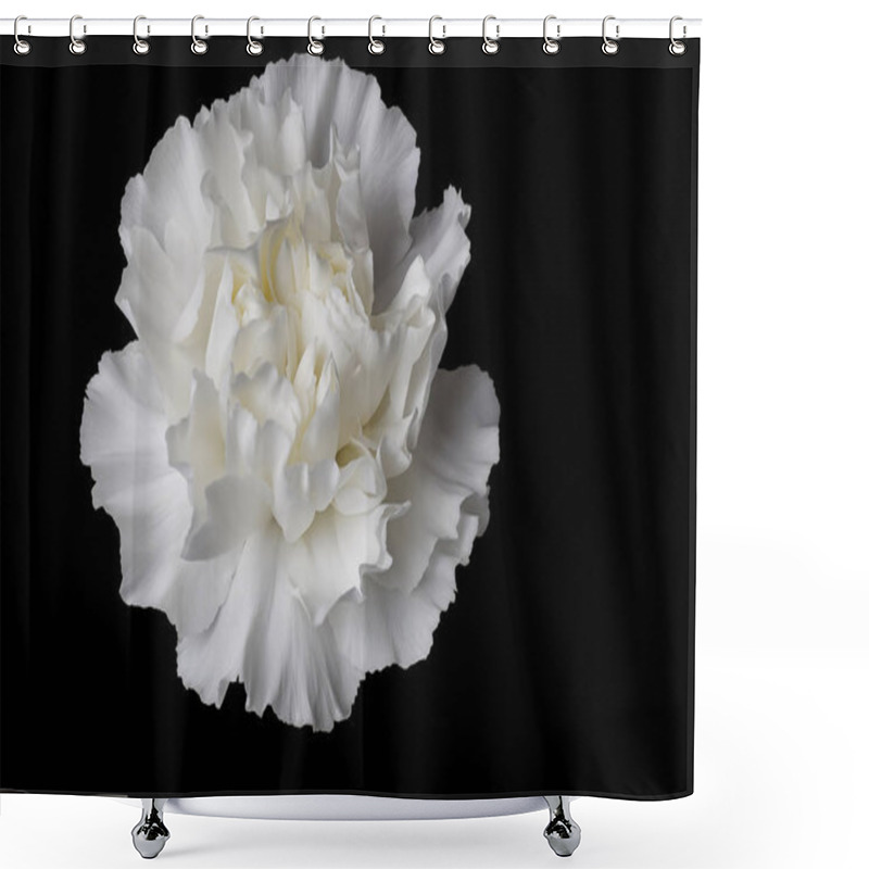 Personality  Single White Carnation Head Shower Curtains