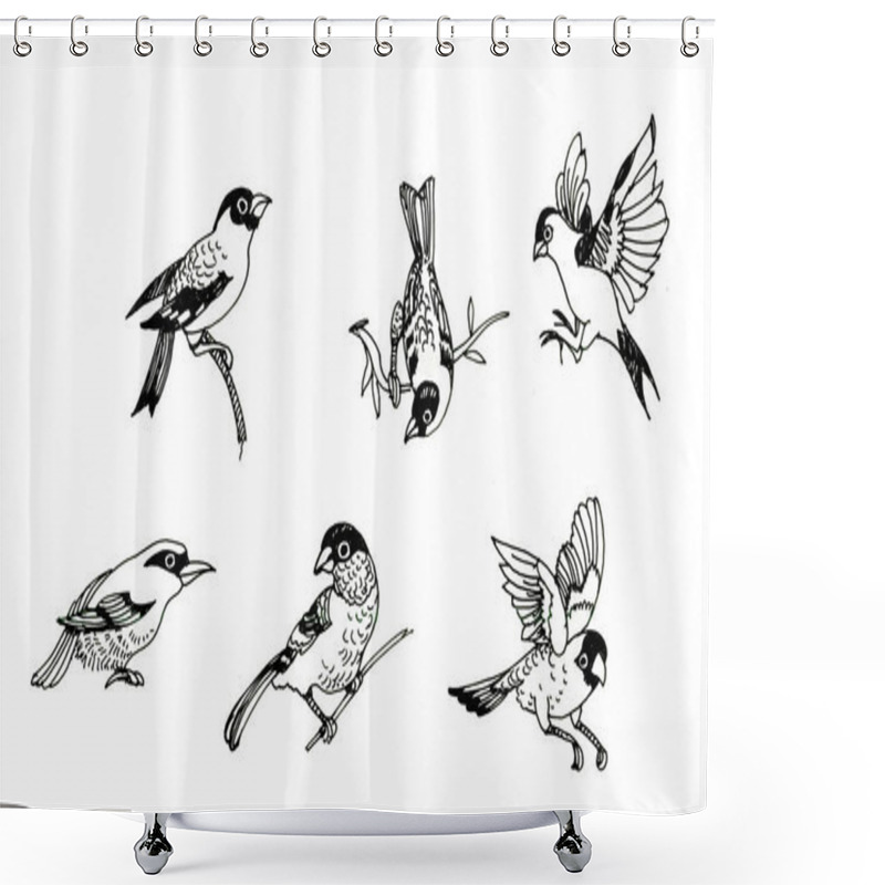 Personality  Hand Drawn Set Of Forest Birds Isolated On White Background. Monochrome Sketch Of Sitting Songbirds. Shower Curtains