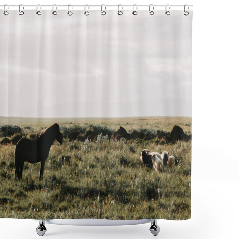 Personality  Horse And Sheep Shower Curtains