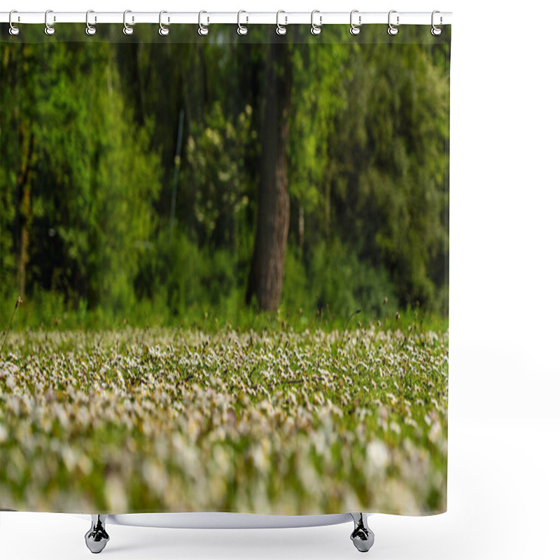 Personality  Field Of Daisies In A Sunlit Forest Meadow Shower Curtains