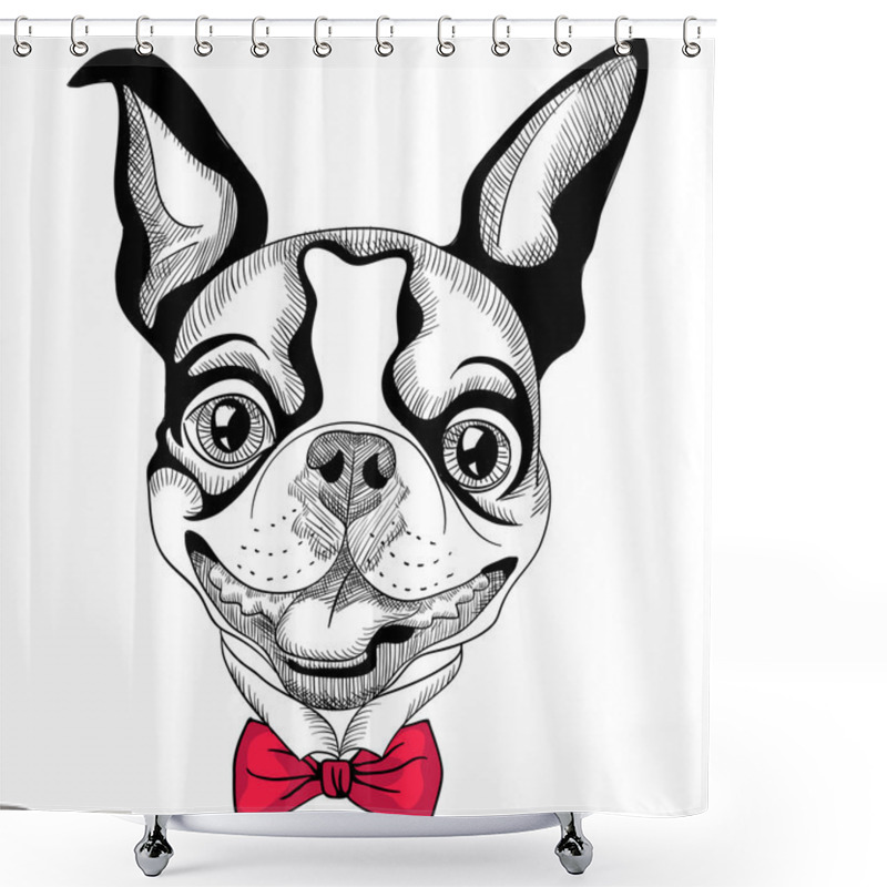 Personality  Funny Cartoon Hipster Boston Terrier Breed Smiling Shower Curtains