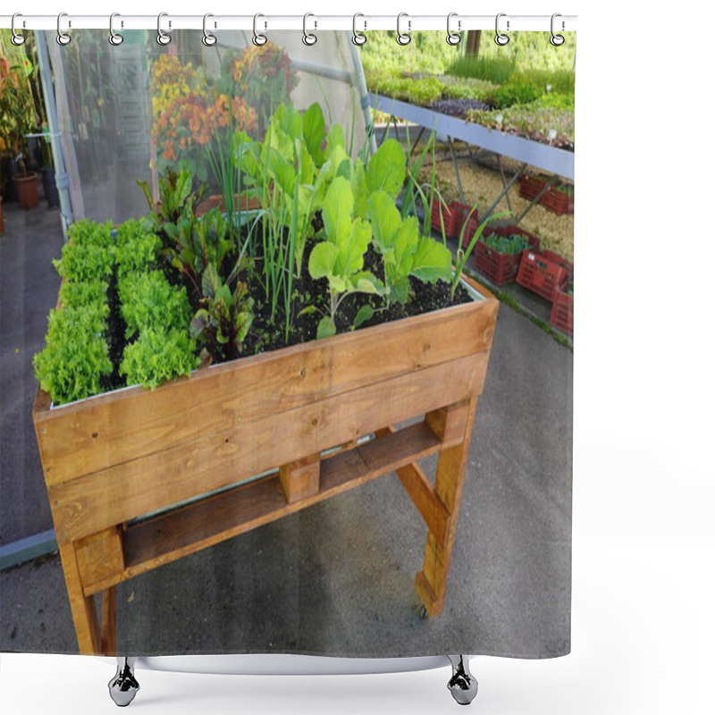 Personality  Growing In Urban Containers. Vegetable Garden On The Terrace Or Balcony With Cultivation Table Shower Curtains