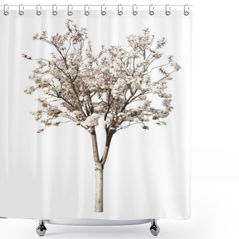 Personality  Beautiful Blossoming Sakura Tree On White Background Shower Curtains