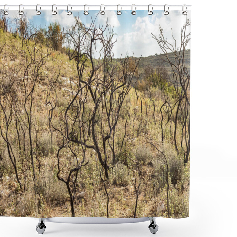 Personality  Powerful Image Of A Scorched Tree After A Forest Fire In The Cyprus Mountains, Highlighting The Devastating Impact Of Natural Disasters Shower Curtains