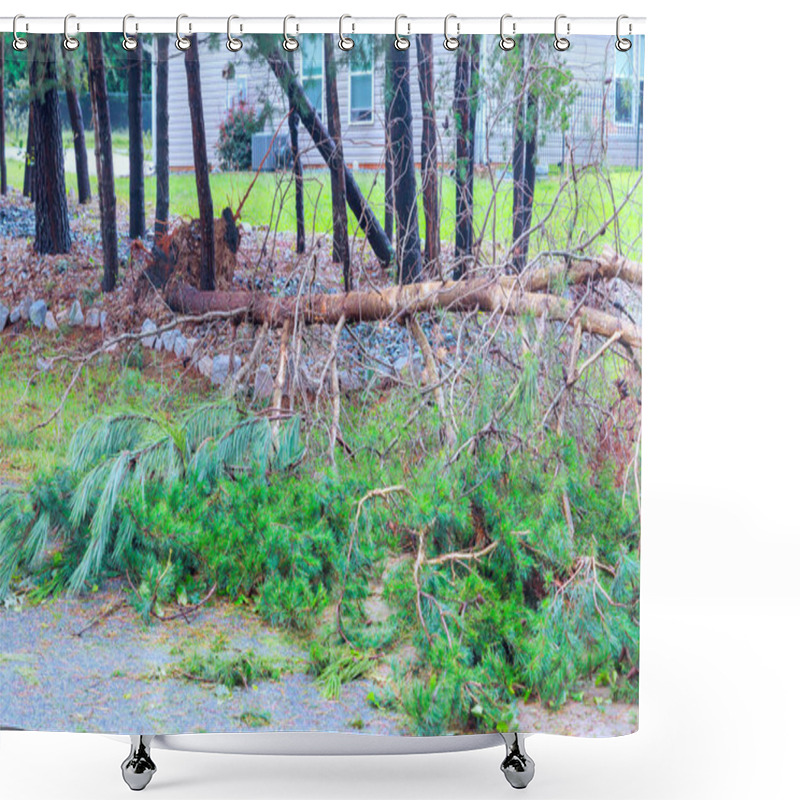 Personality  Strong Winds Caused Several Branches To Fall, Creating Debris On Street Trees Stand Recent Weather Impact. Shower Curtains