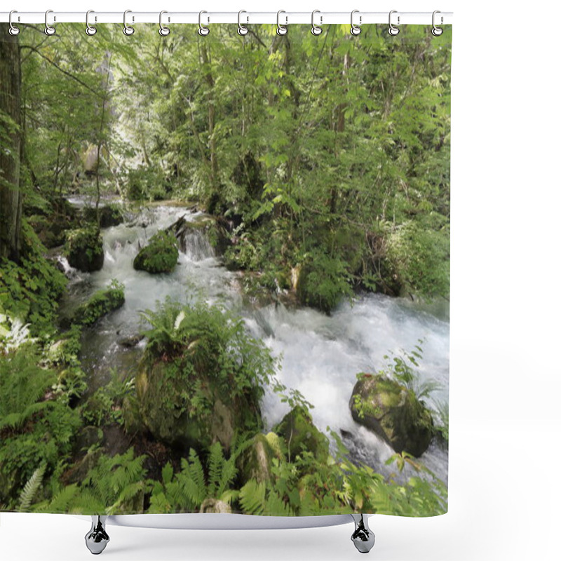 Personality  Manryo Current Of Oirase Mountain Stream In Aomori, Japan Shower Curtains