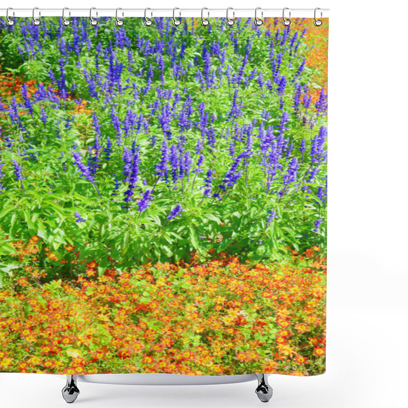 Personality  Blooming Salvia Farinacea, Known Also As Mealy Sage Surrounded By Bright Orange Yellow Flowers. The Sun Is Shining On The Wonderful Bed Of Flowers Shower Curtains