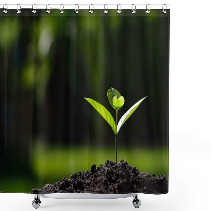 Personality  Young Plant In The Morning Light On Nature Background Shower Curtains