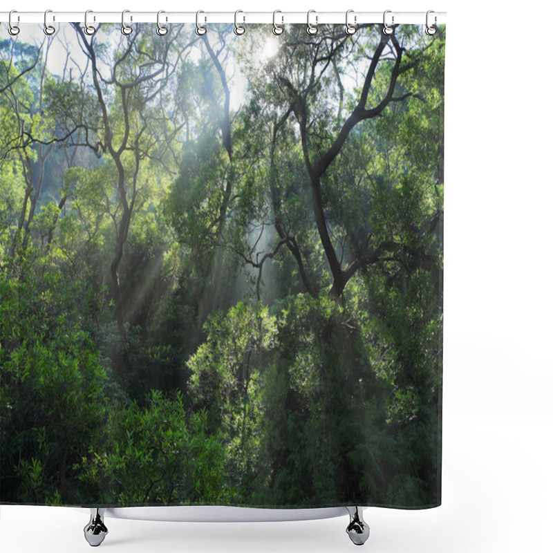 Personality  Tropical Forest In Morning Shower Curtains