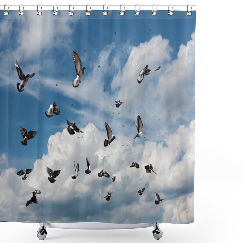 Personality  Flying Pigeons Shower Curtains