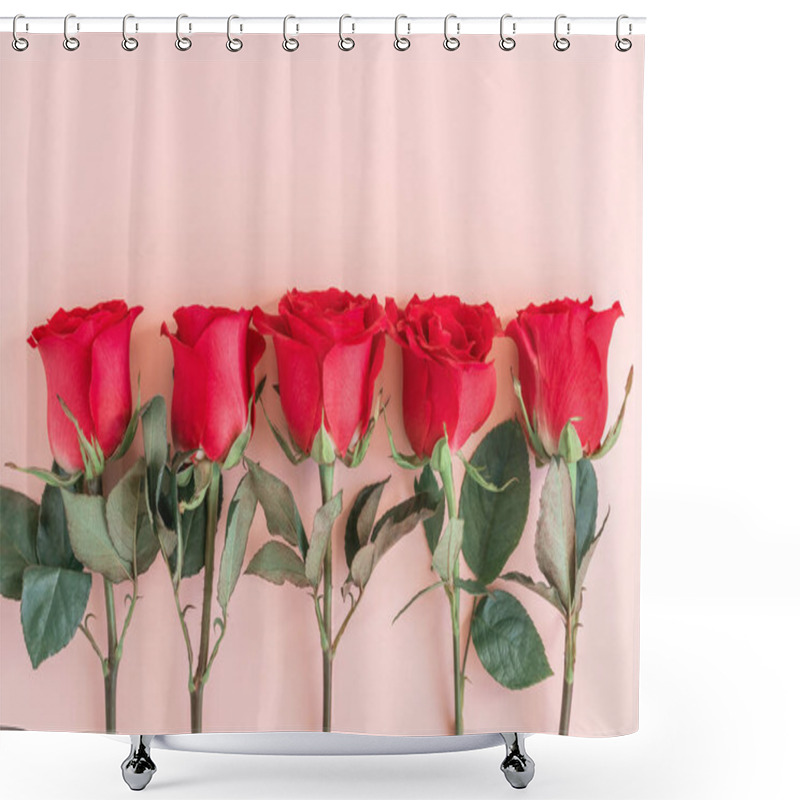 Personality  Flowers Composition. Red Rose Flowers Lie In Row On Soft Pink Background. Holiday Background. Minimal Concept. Flat Lay, Top View, Copy Space. Shower Curtains