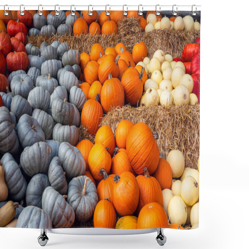 Personality  Harvest Of Pumpkin Blue Prince, Pepitas, And Classic Pumpkins On Straw Shower Curtains