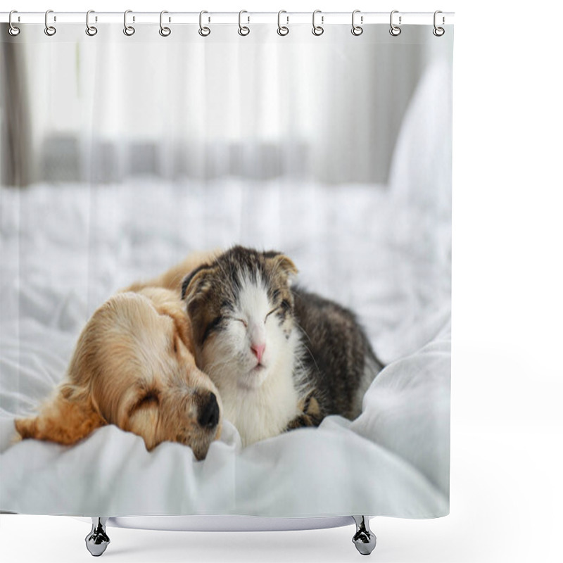 Personality  Adorable Little Kitten And Puppy Sleeping On Bed Indoors Shower Curtains