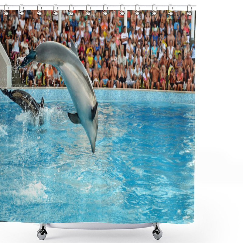 Personality  Dolphin. Shower Curtains