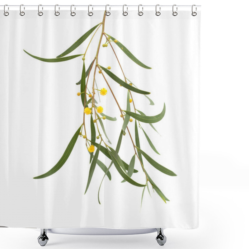 Personality  Acacia Twig Isolated On White Shower Curtains