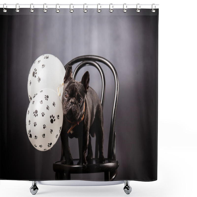 Personality  French Bulldog  Shower Curtains