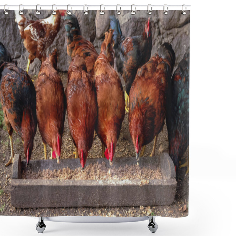 Personality  Chickens In Poland Shower Curtains