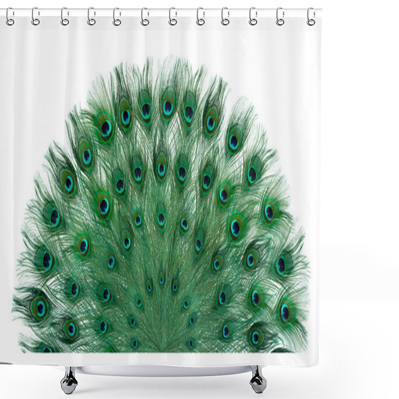 Personality  Beautiful Bright Peacock Feathers On White Background Shower Curtains