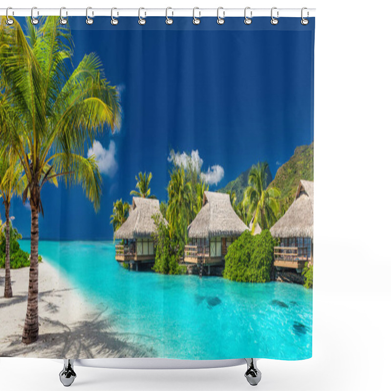 Personality  Tropical Island With Palm Trees Shower Curtains