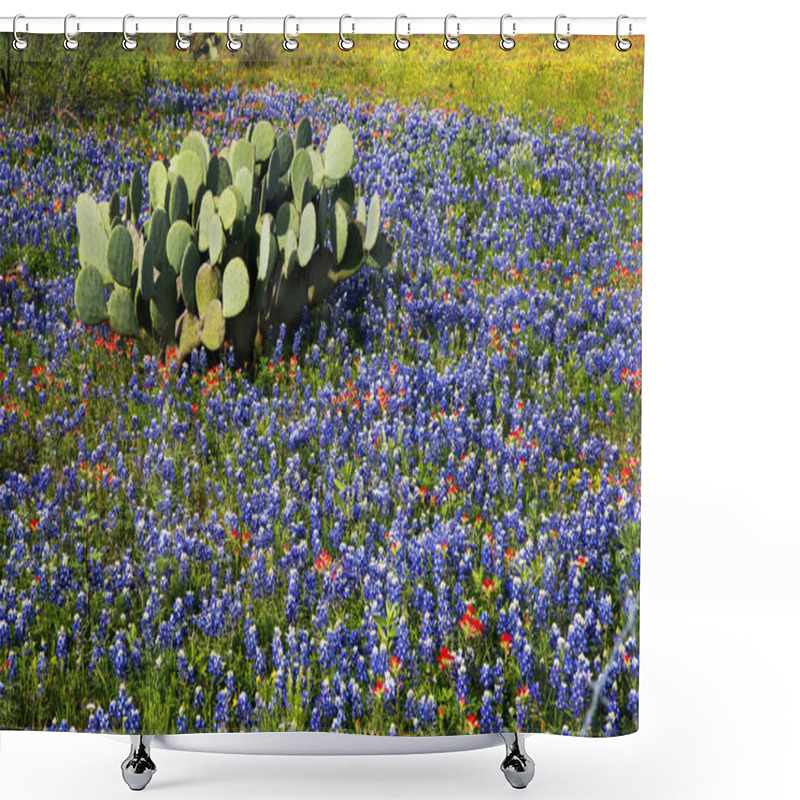 Personality  Spring Wildflowers In Texas Hill Country Shower Curtains