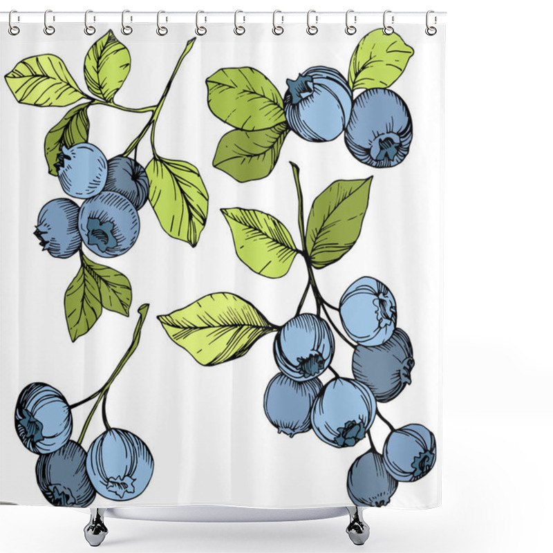 Personality  Vector Blueberry Green And Blue Engraved Ink Art. Berries And Green Leaves. Isolated Blueberry Illustration Element. Shower Curtains