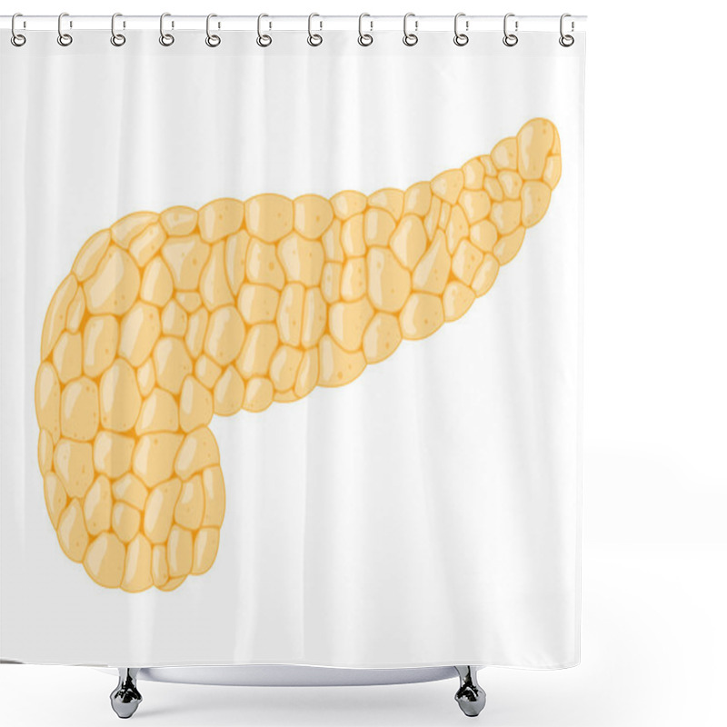 Personality  Vector Image Of The Human Pancreas Shower Curtains