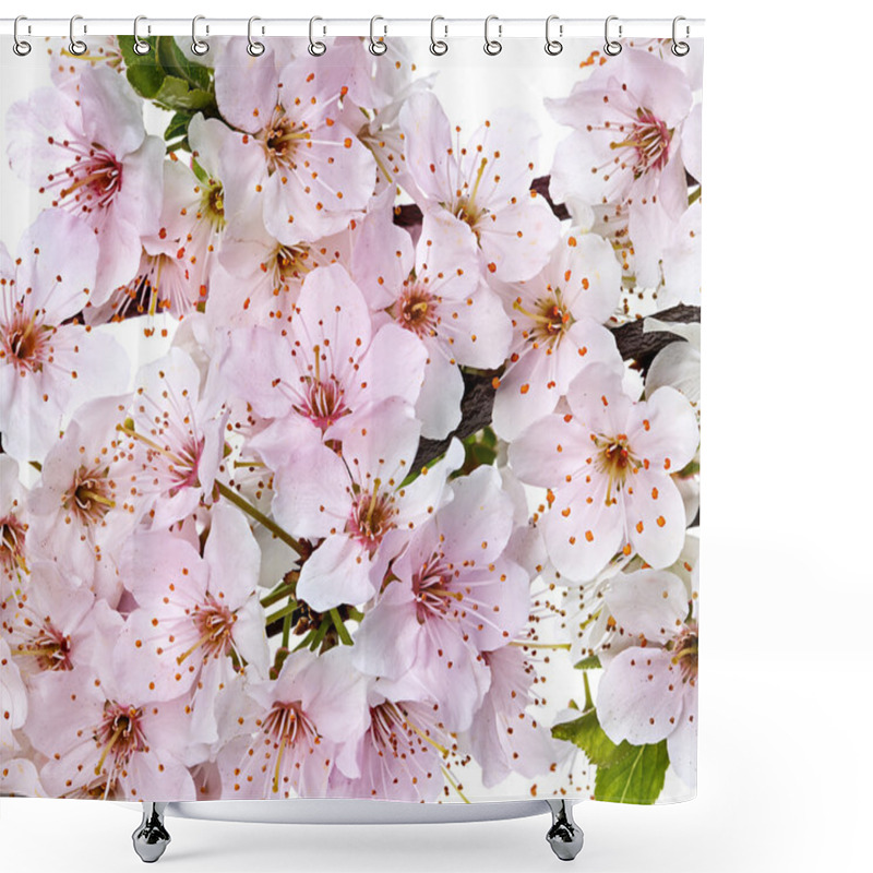 Personality  Flowering Apple Blossom Branches Shower Curtains