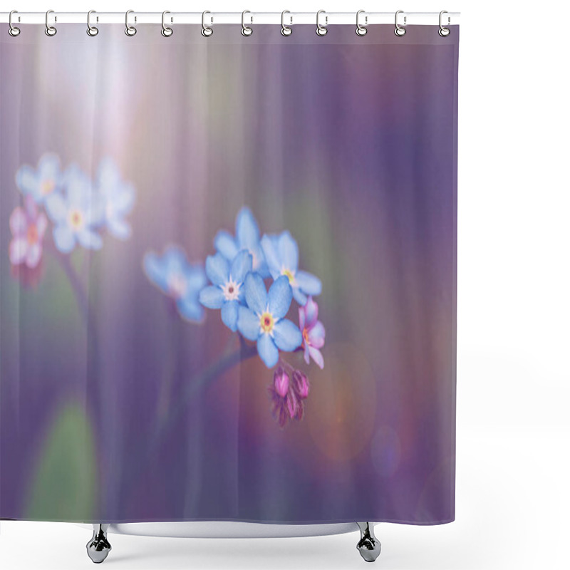 Personality  Small Blue Forget-me-not Flowers Shower Curtains