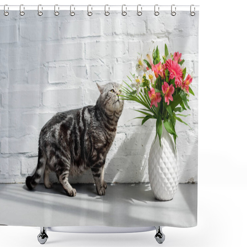 Personality  Adorable Scottish Straight Cat Sniffing Beautiful Bouquet In Vase Shower Curtains