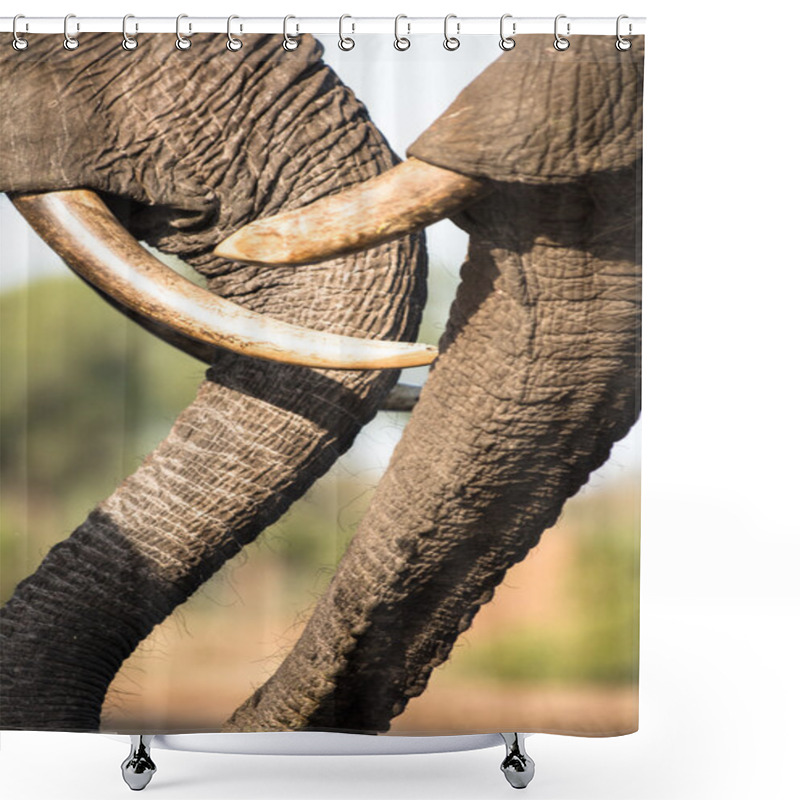 Personality  Elephant In Chobe National Park Shower Curtains