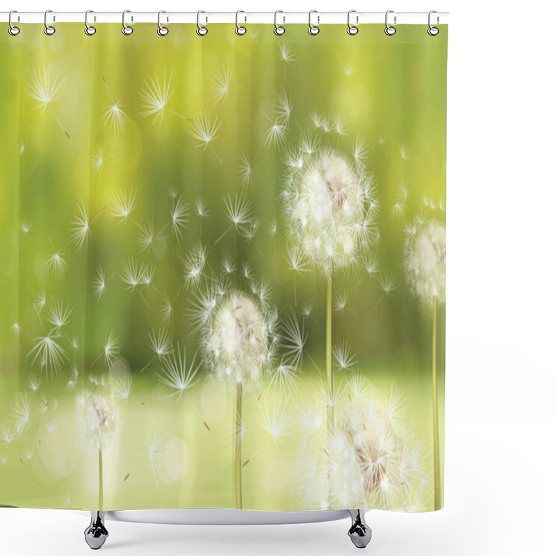 Personality  Spring Background With Dandelions. Shower Curtains