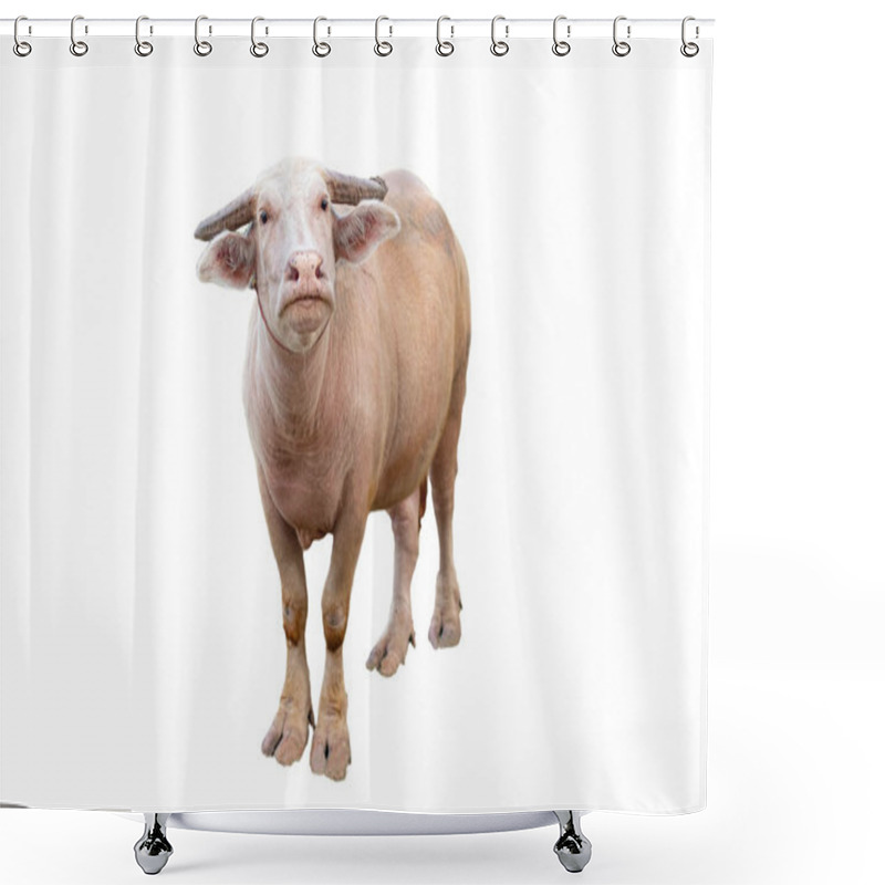 Personality  Thai Water Buffalo  Shower Curtains