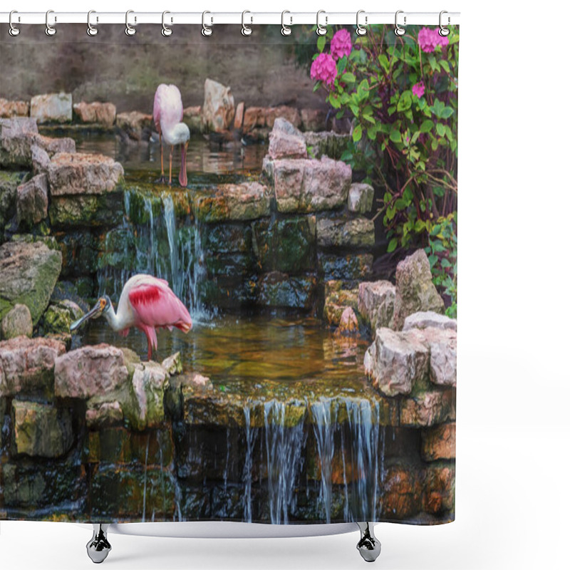 Personality  Rosy Spoonbill, Platalea Ajaja, A Flocking Wading Bird In A Small Picturesque Waterfall. Birds In Nature. Summer Landscape Shower Curtains