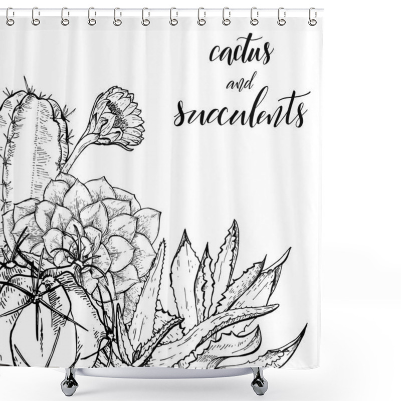 Personality  Sketch Linear Cactus Ans Succulents Shower Curtains