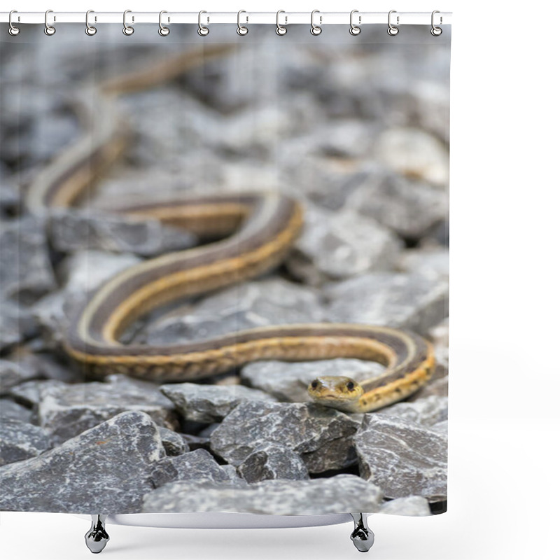 Personality  snake on the rocks shower curtains