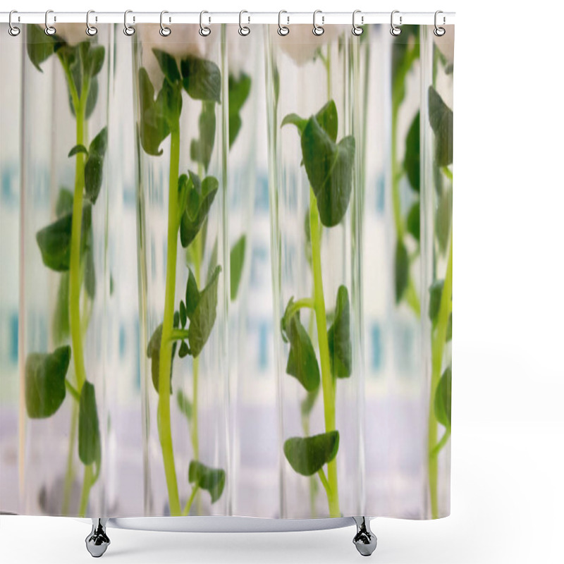 Personality  Green Plant Sprouts In A Glass Vial, Close-up Shower Curtains