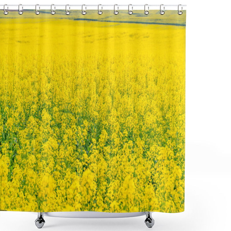 Personality  The Amazing Yellow Canola Field In Yunnan Province In China Shower Curtains