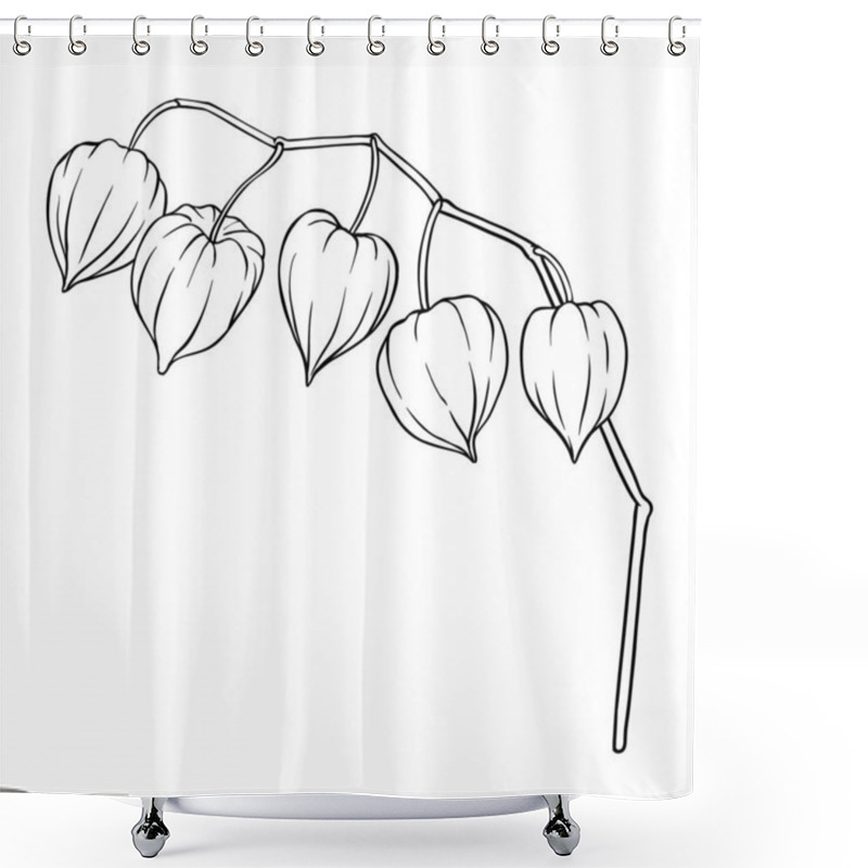 Personality  Phisalis Branch With Berries Outline Illustration. Vector Isolated For Design Or Decoration Shower Curtains