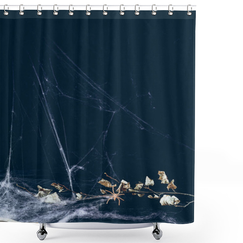 Personality  Dry Branch In Spider Web In Darkness, Halloween Background Shower Curtains