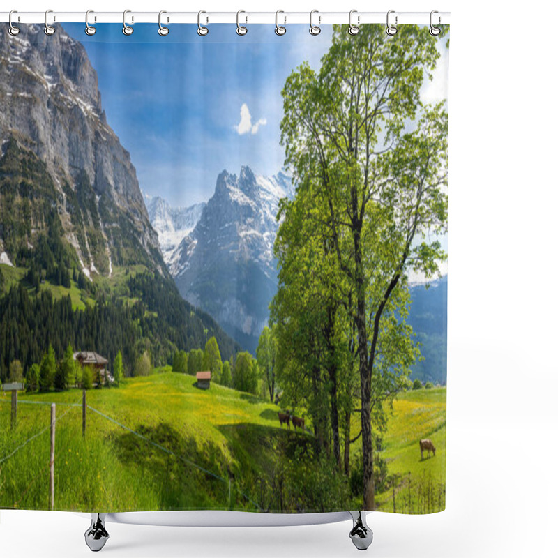 Personality  Spring Meadow In Alps In Grindelwald Village In Switzerland Shower Curtains