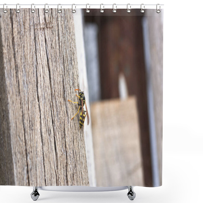 Personality  Image Of A Cardboard Or Paper Wasp Is On Some Woods Collecting Cellulose To Build The Honeycomb. Its Body Is Black With Yellow Spots. Shower Curtains