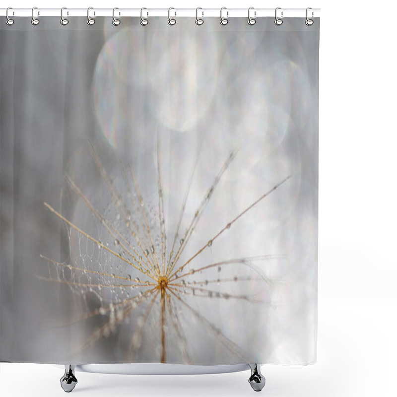 Personality  Macro Shot Of The Dandelion With Water Drops On It. Living In A Harmony. Shower Curtains