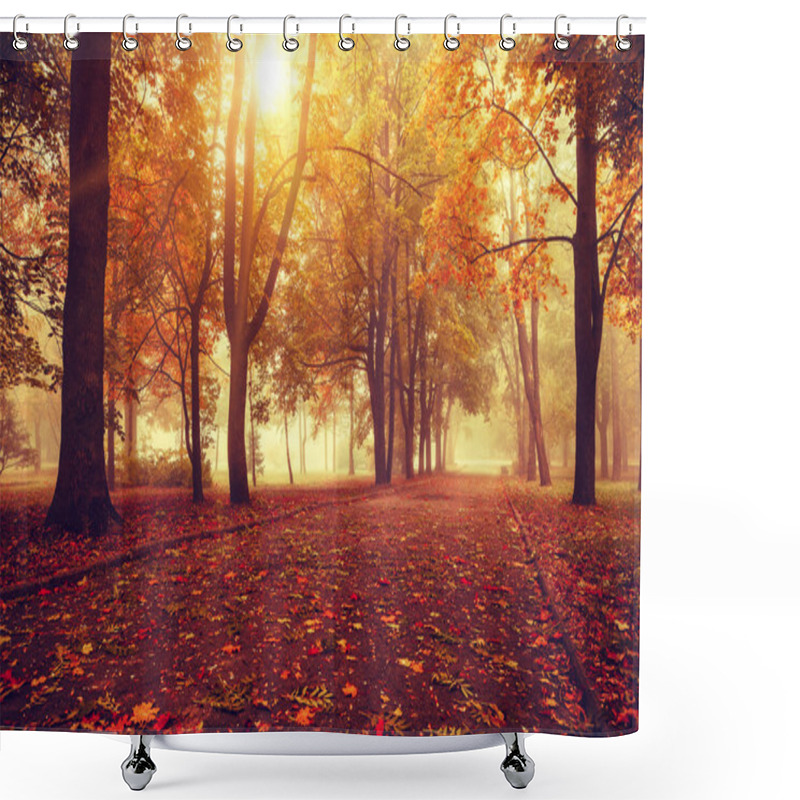 Personality  Gorgeous Autumn Landscape  Shower Curtains