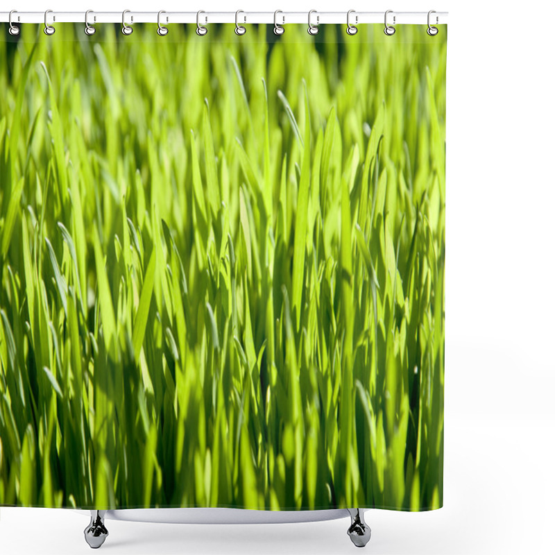 Personality  Spring Green Glade Shower Curtains