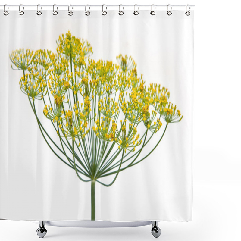 Personality  Dill On A White Background Shower Curtains