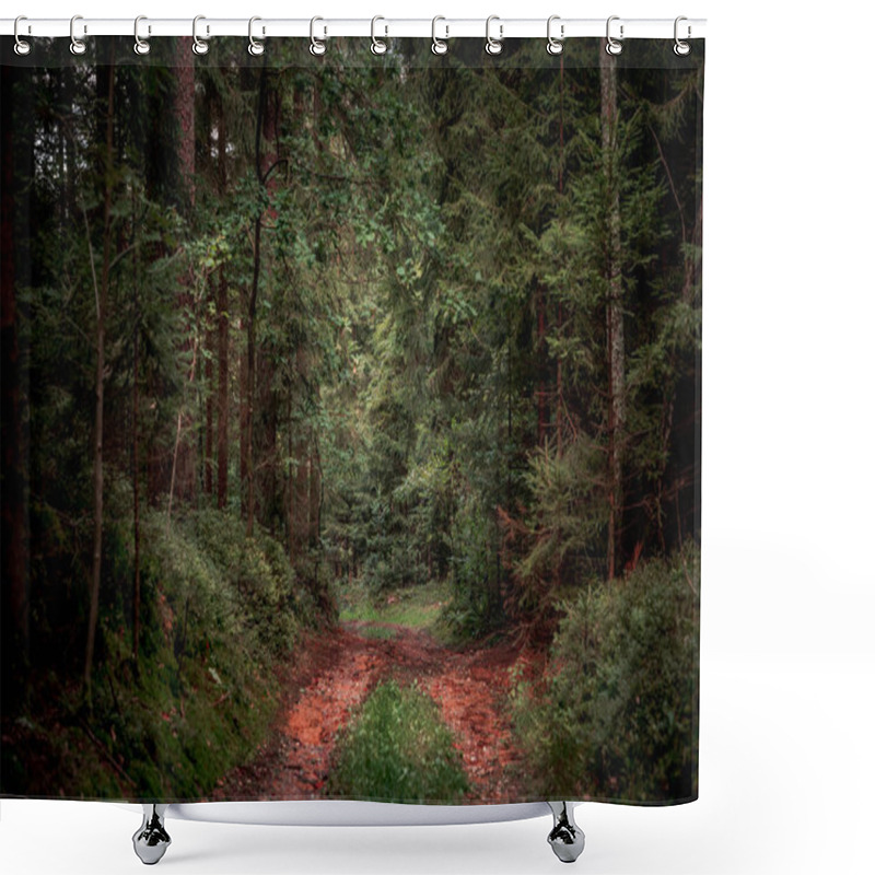 Personality  The Forest Path Surrounded By Tall Trees And Plants In Late Summer Shower Curtains