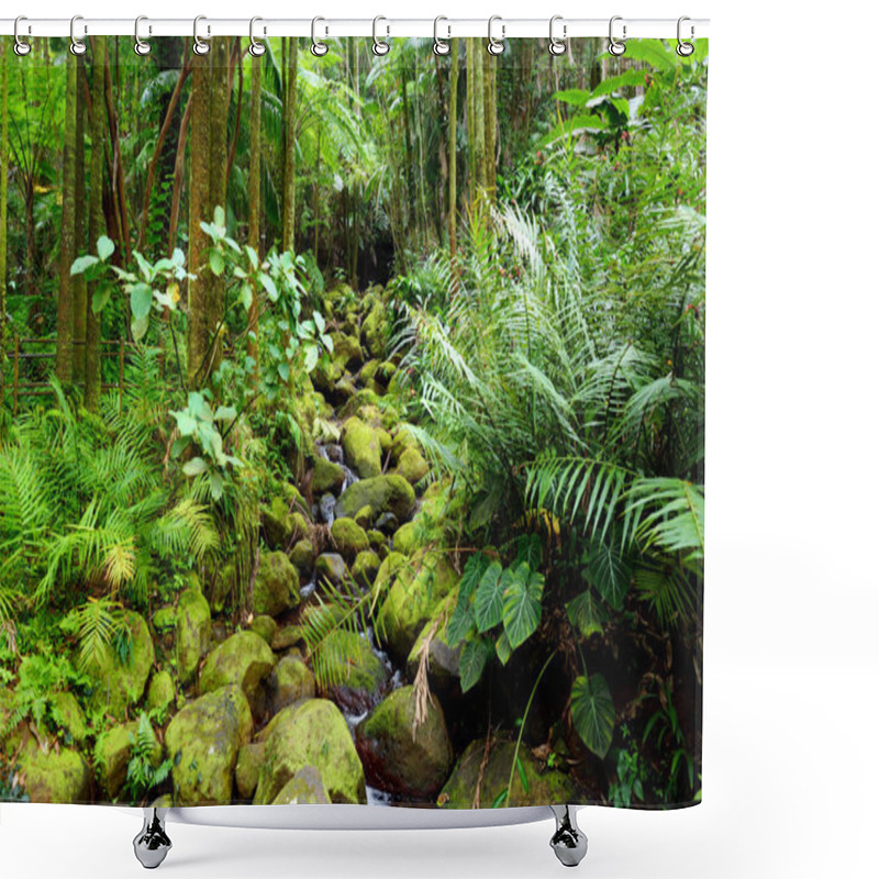 Personality  Lush Tropical Vegetation Shower Curtains