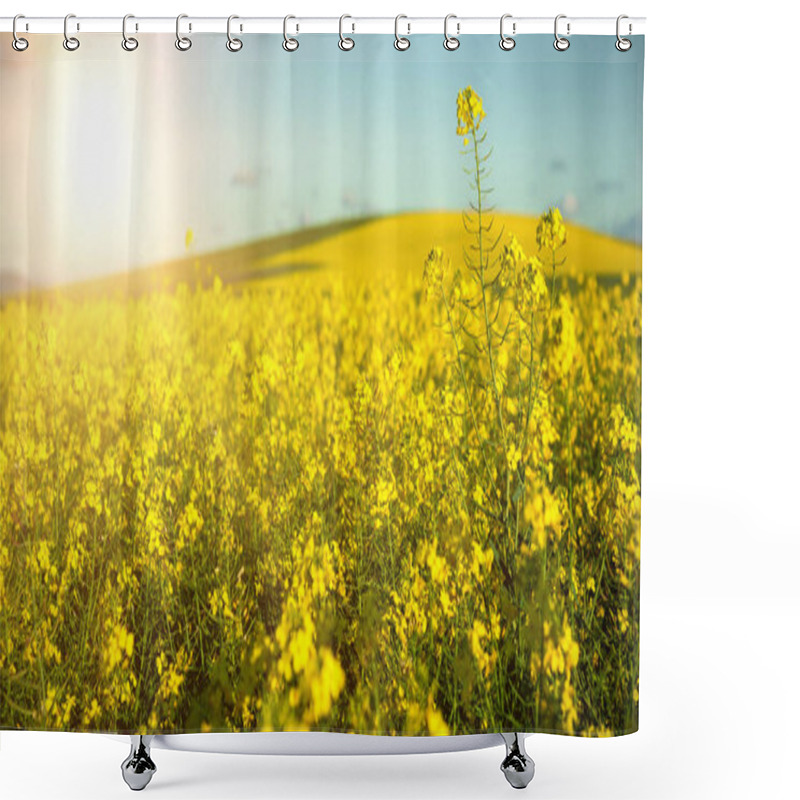 Personality  Mustard Field On Sunny Day Shower Curtains